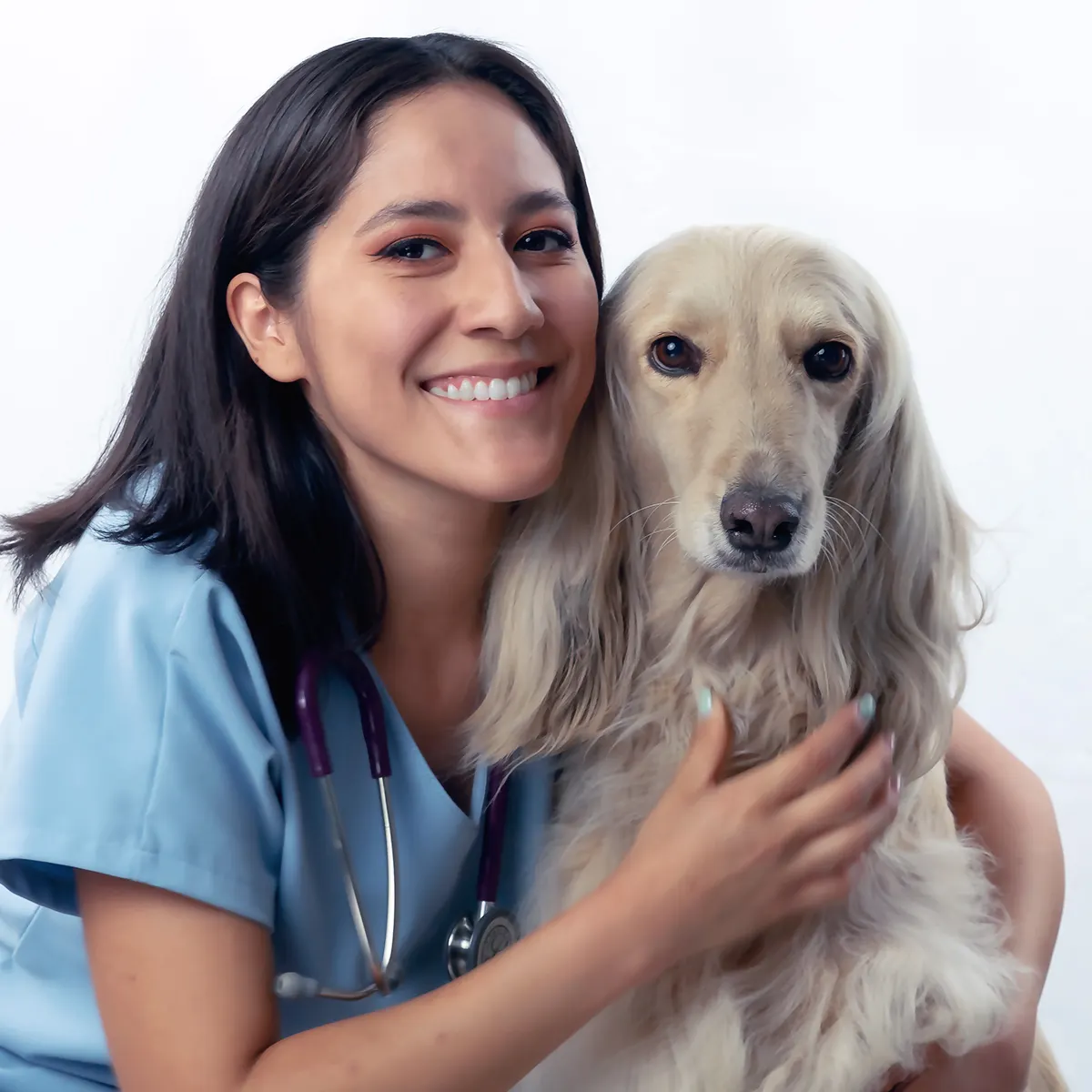 Paciente en consulta — Vetmedicyn en Instagram