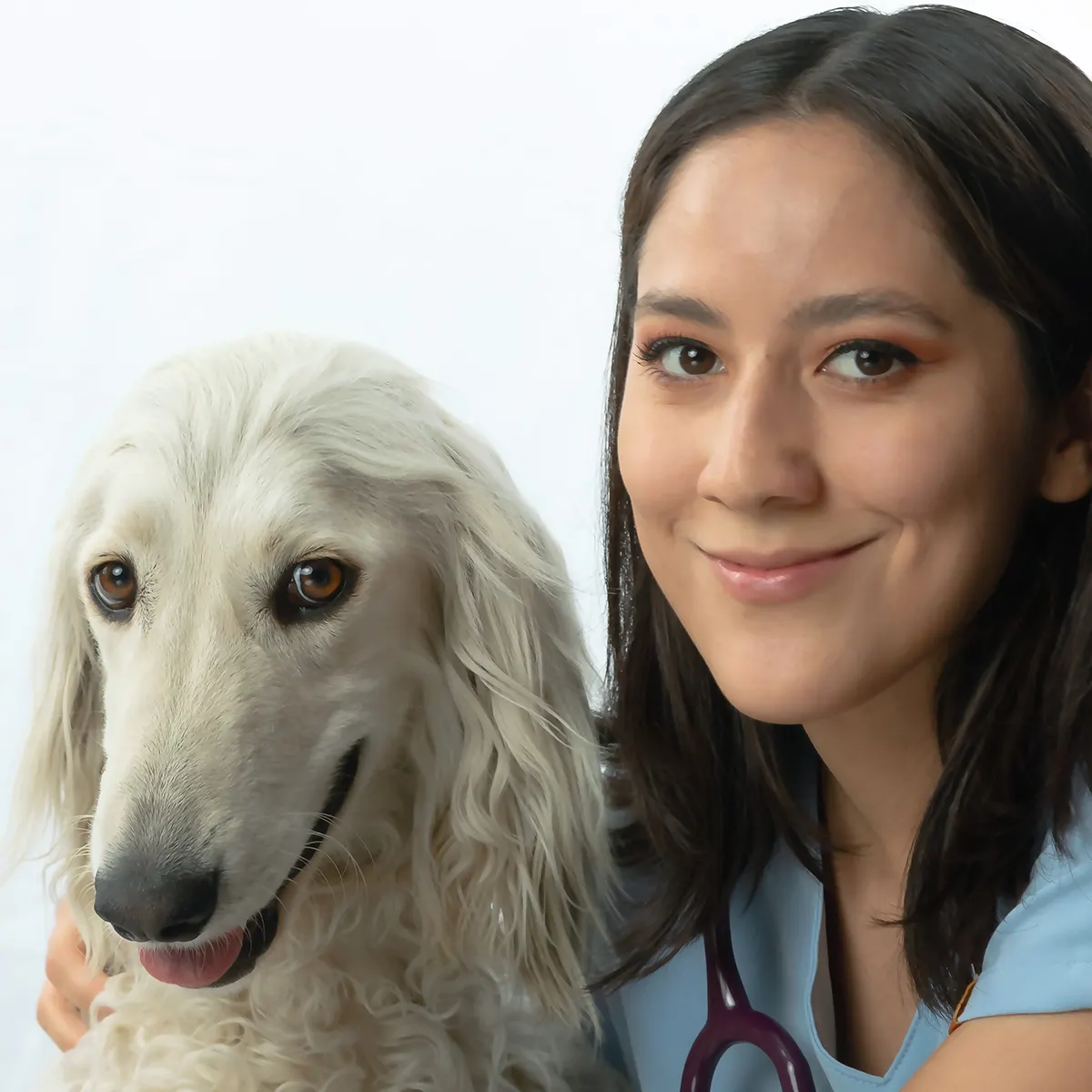 Dra. Cynthia con paciente — contenido Vetmedicyn en Instagram